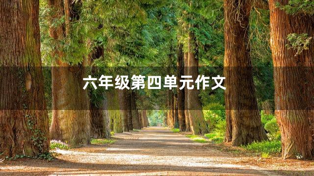 六年级第四单元作文
