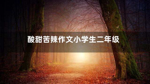 酸甜苦辣作文小学生二年级