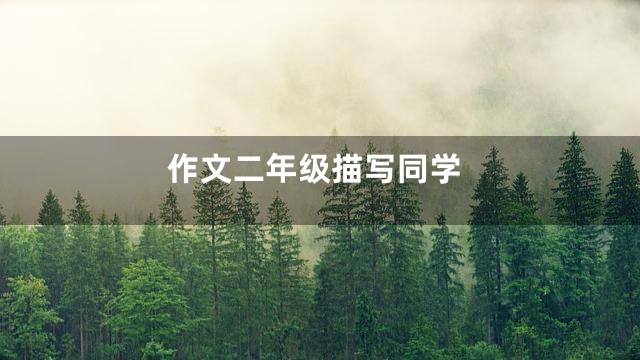 作文二年级描写同学