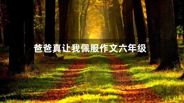 爸爸真让我佩服作文六年级