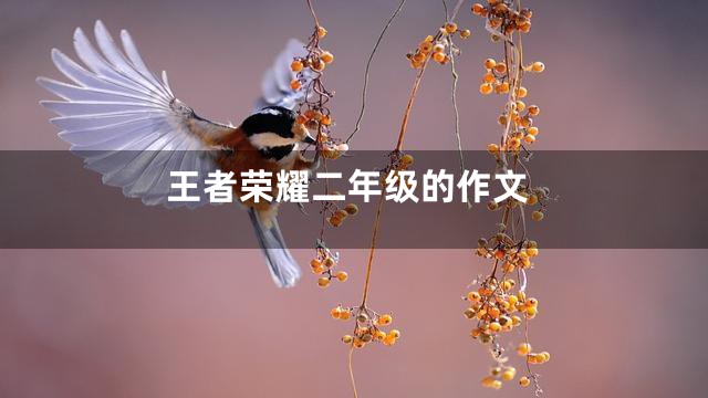 王者荣耀二年级的作文