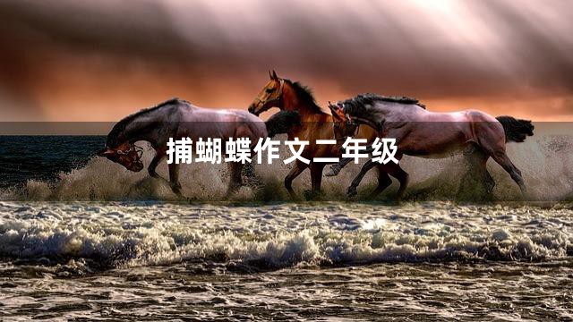 捕蝴蝶作文二年级