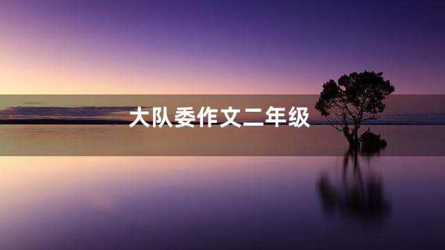 大队委作文二年级