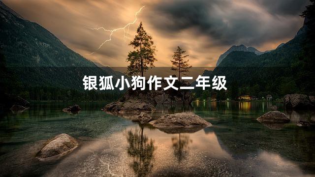 银狐小狗作文二年级