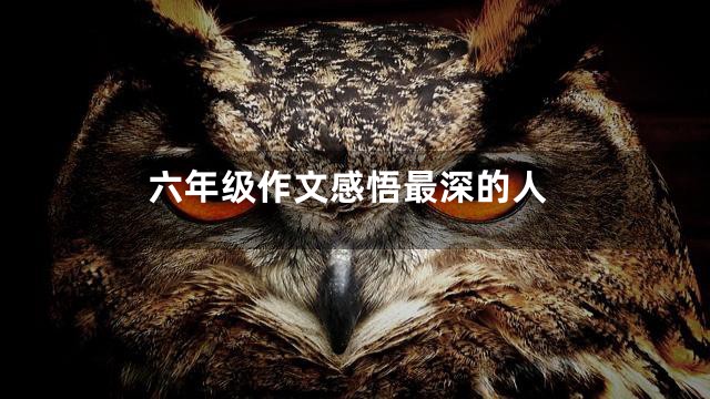 六年级作文感悟最深的人