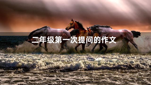 二年级第一次提问的作文