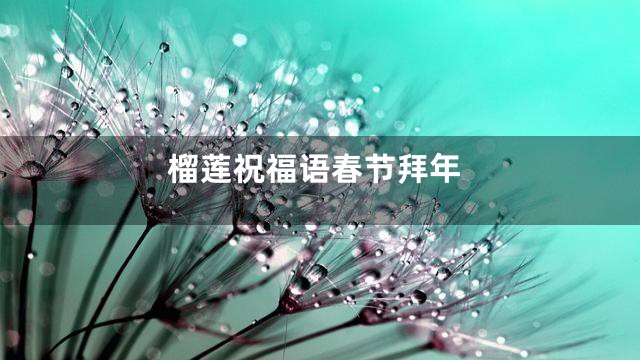 榴莲祝福语春节拜年