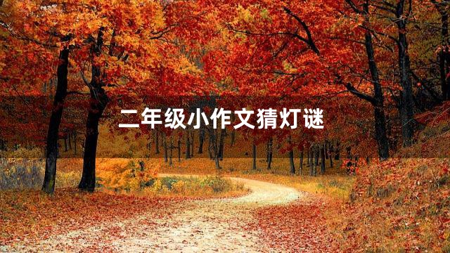 二年级小作文猜灯谜