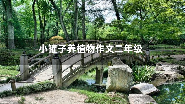 小罐子养植物作文二年级