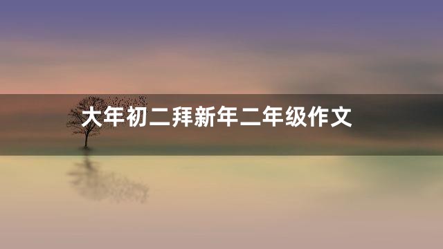 大年初二拜新年二年级作文