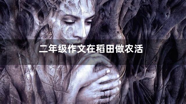 二年级作文在稻田做农活