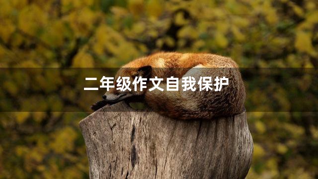 二年级作文自我保护