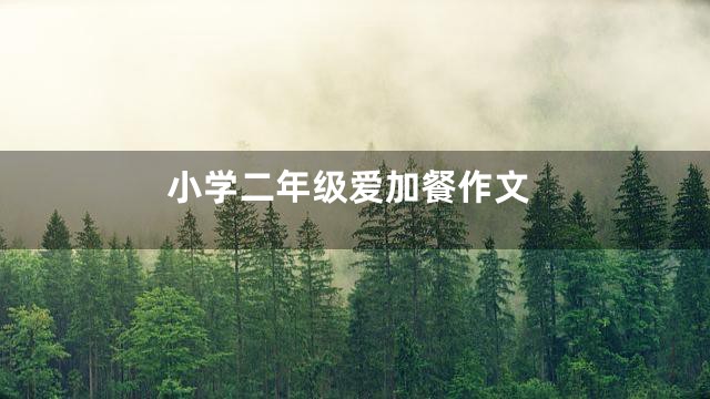 小学二年级爱加餐作文