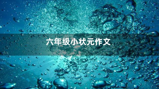 六年级小状元作文