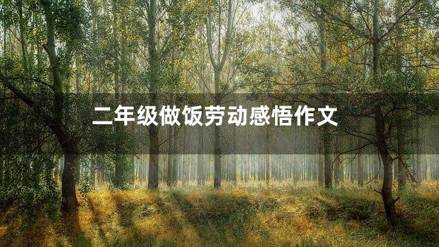 二年级做饭劳动感悟作文