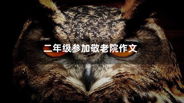 二年级参加敬老院作文