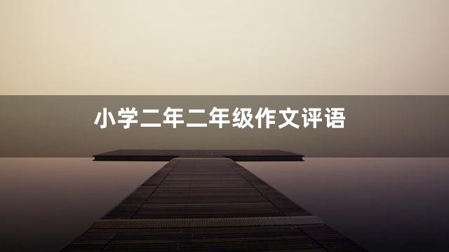 小学二年二年级作文评语