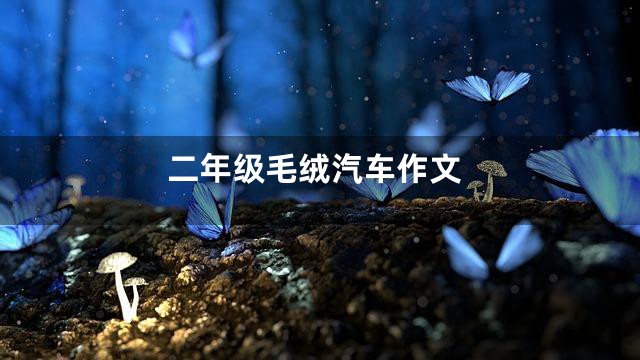 二年级毛绒汽车作文