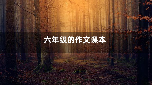 六年级的作文课本