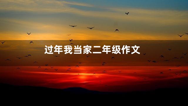 过年我当家二年级作文