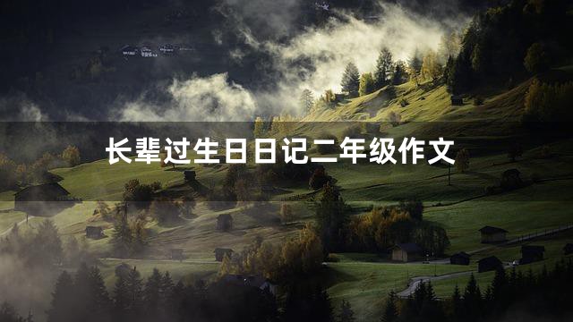 长辈过生日日记二年级作文