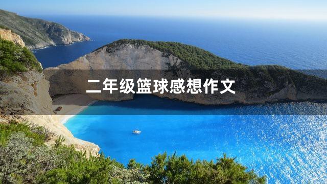 二年级篮球感想作文