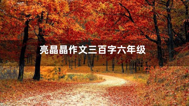 亮晶晶作文三百字六年级