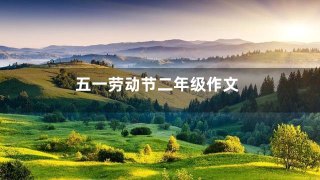 五一劳动节二年级作文