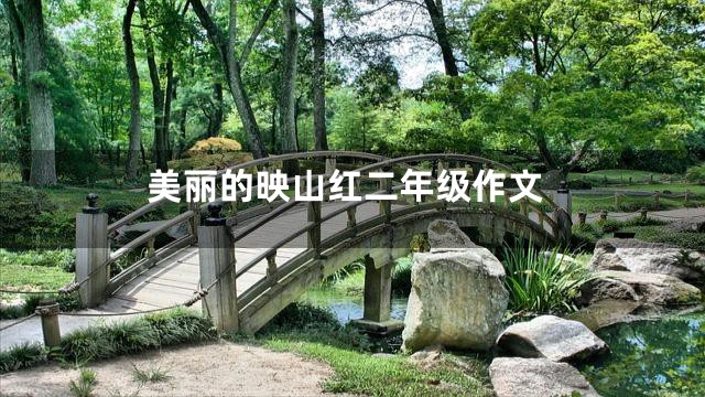 美丽的映山红二年级作文