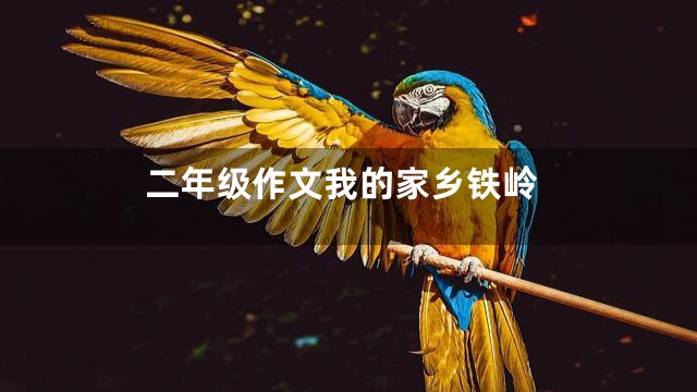 二年级作文我的家乡铁岭