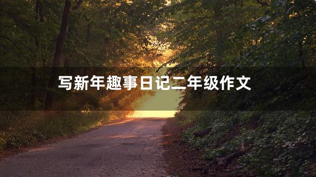 写新年趣事日记二年级作文