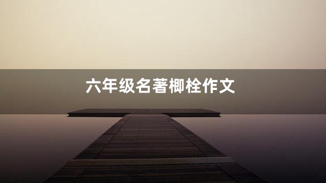 六年级名著楖栓作文