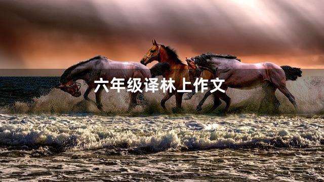 六年级译林上作文