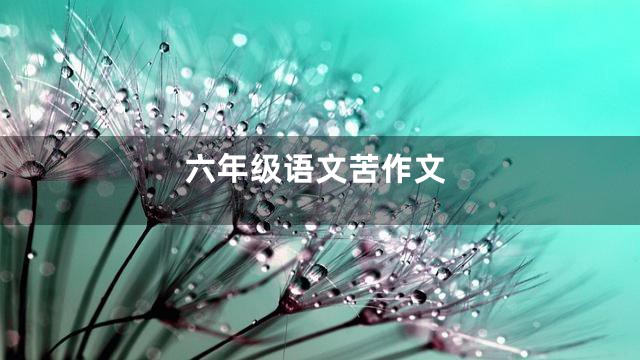 六年级语文苦作文