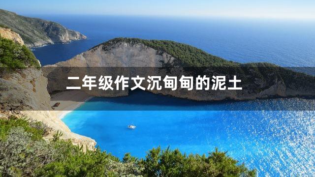 二年级作文沉甸甸的泥土