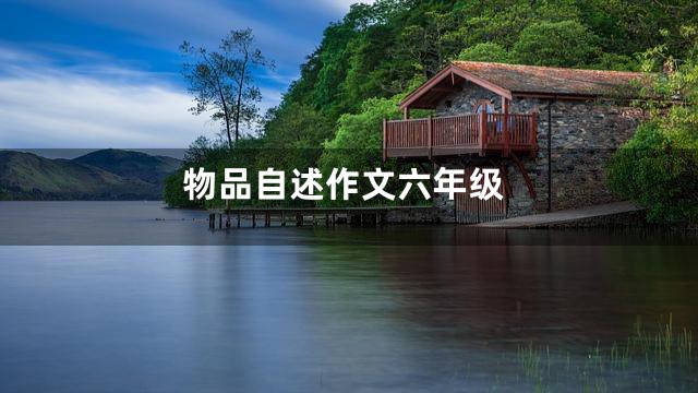 物品自述作文六年级
