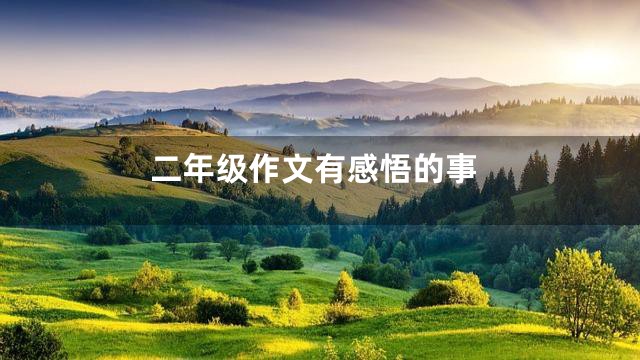 二年级作文有感悟的事