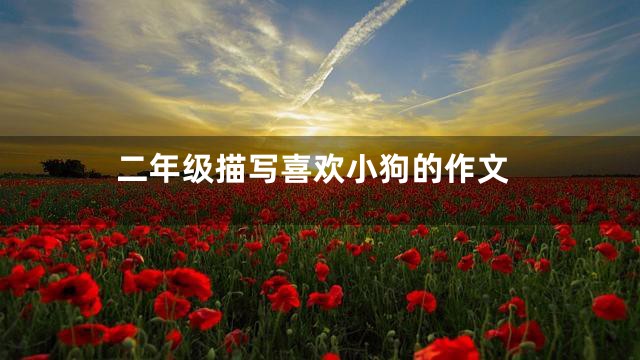 二年级描写喜欢小狗的作文