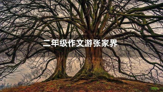 二年级作文游张家界