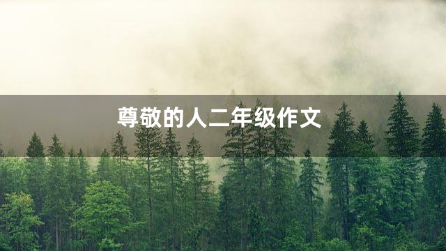 尊敬的人二年级作文