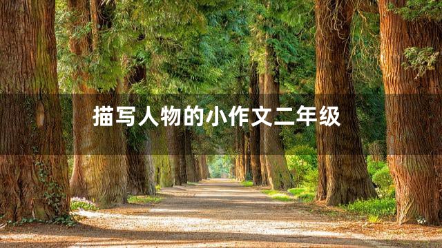 描写人物的小作文二年级