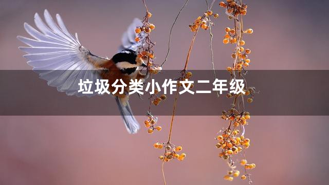 垃圾分类小作文二年级