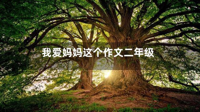 我爱妈妈这个作文二年级