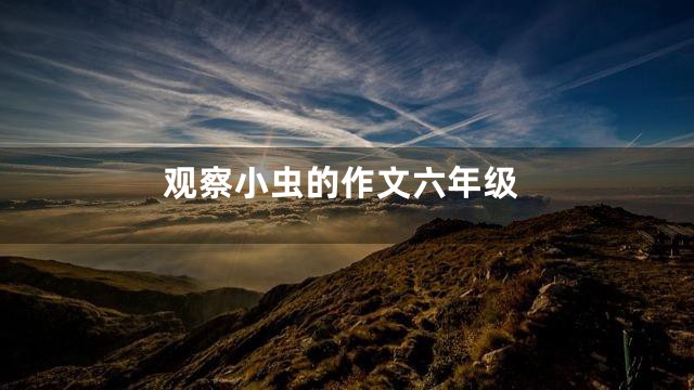 观察小虫的作文六年级