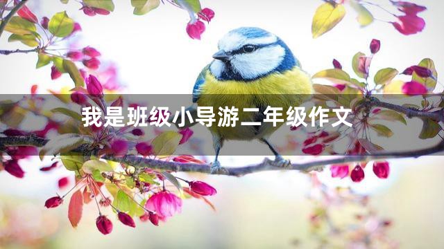 我是班级小导游二年级作文