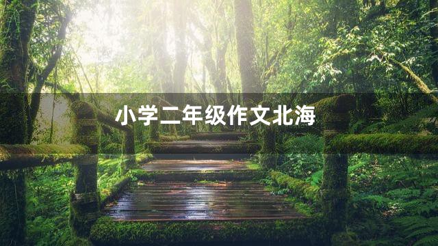 小学二年级作文北海