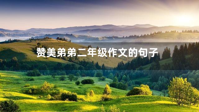 赞美弟弟二年级作文的句子