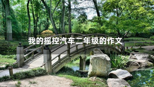 我的摇控汽车二年级的作文
