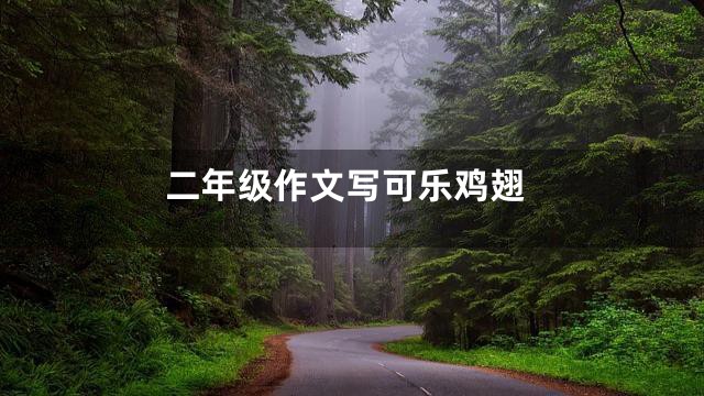 二年级作文写可乐鸡翅