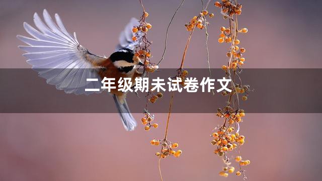 二年级期未试卷作文